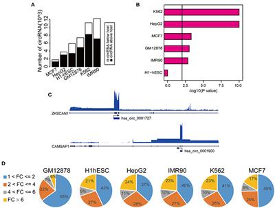 Integrative Epigenomic Analysis of Transcriptional Regulation of Human CircRNAs